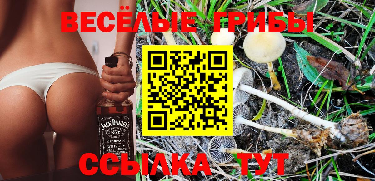 Галлюциногенные грибы прущие грибы Тулун