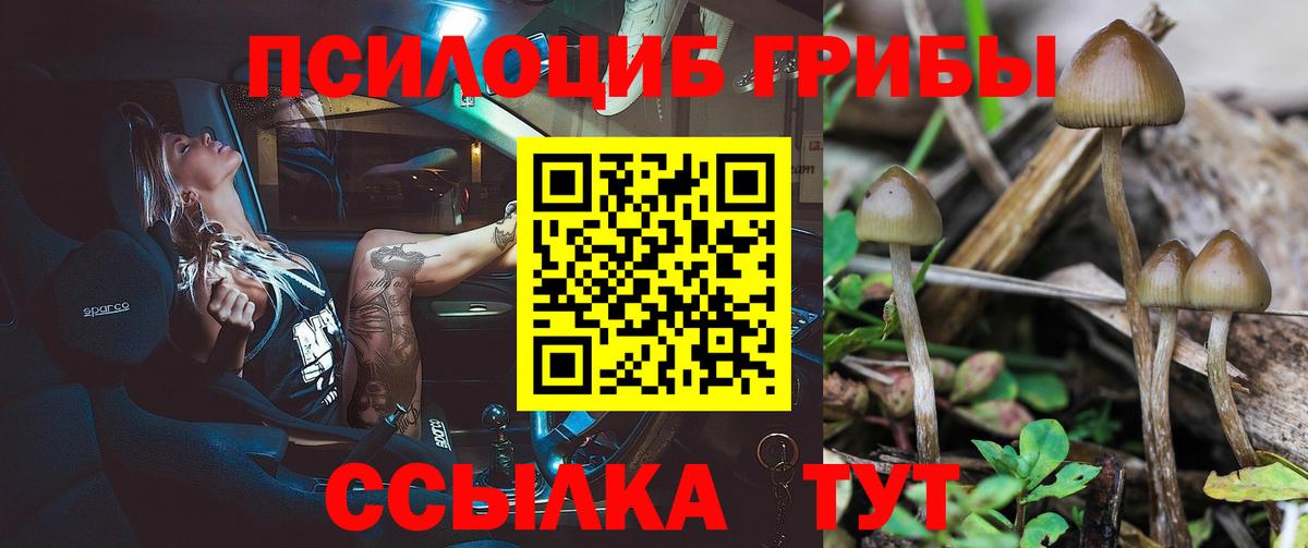 как найти   Галлюциногенные грибы мухоморы  Вход с VPN  Тулун 